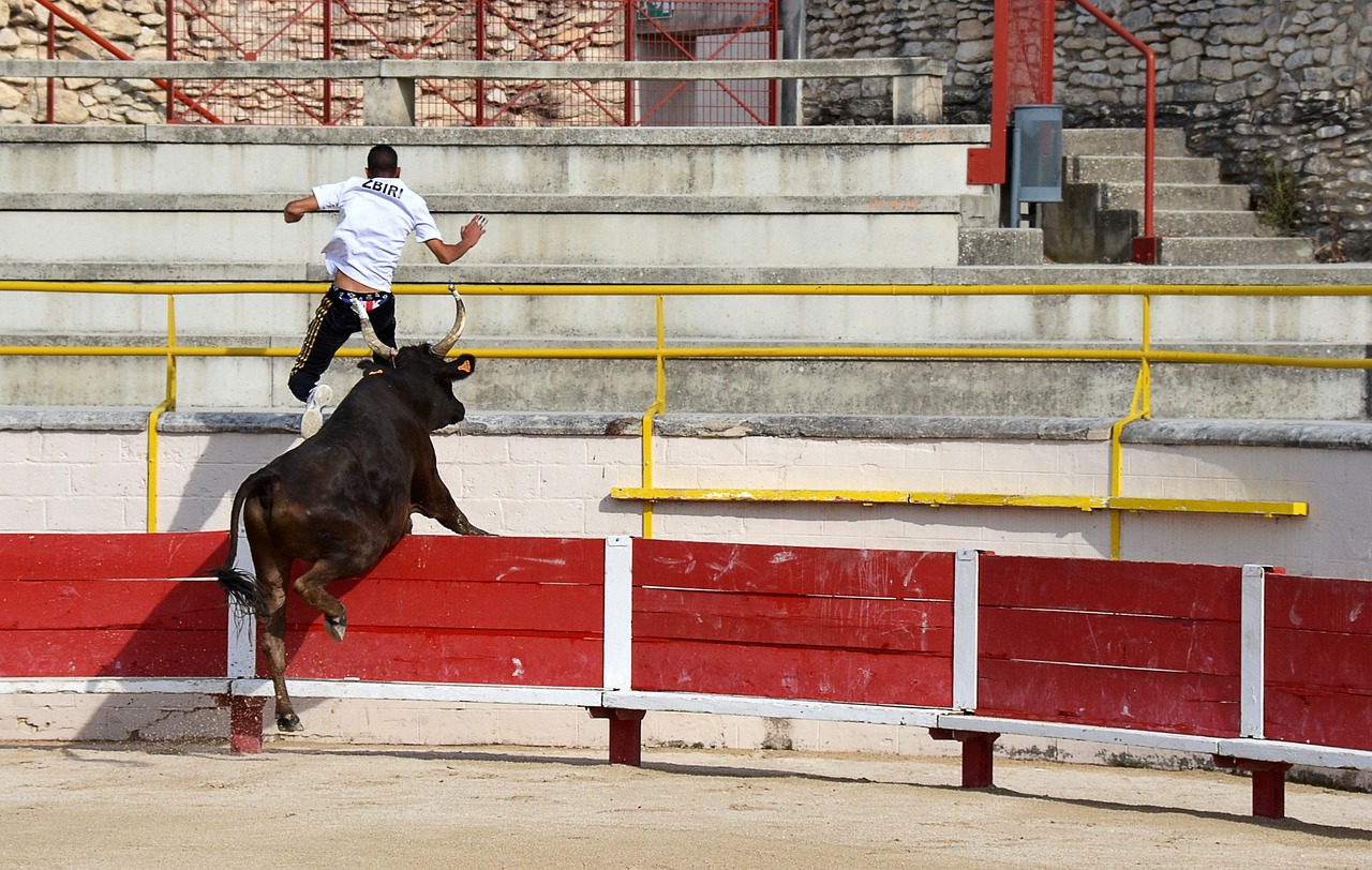 随着欧冠附 随着欧冠附